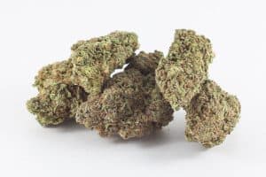 buy alaskan thunder fuck