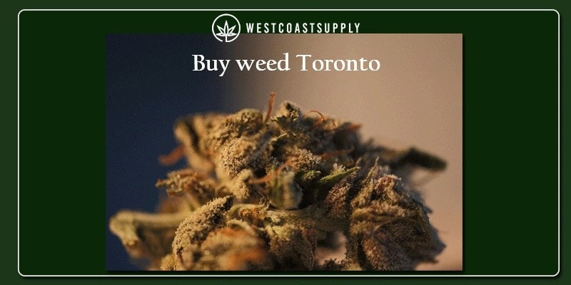 how to buy weed online in toronto