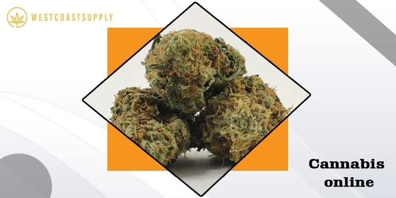 cannabis online