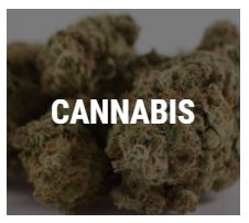 cannabis weeds online