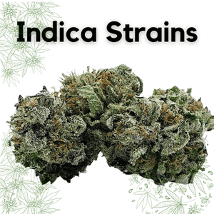 Indica Strains