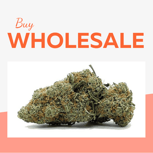 WHOLESALE